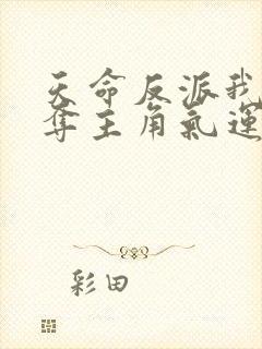 天命反派我靠掠夺主角气运成神正版