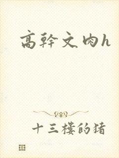 高干文肉h