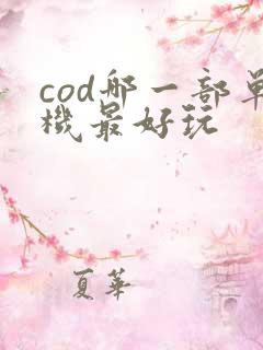 cod哪一部单机最好玩