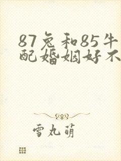 87兔和85牛配婚姻好不好