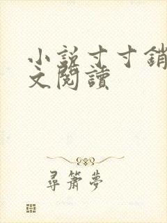 小说寸寸销魂全文阅读