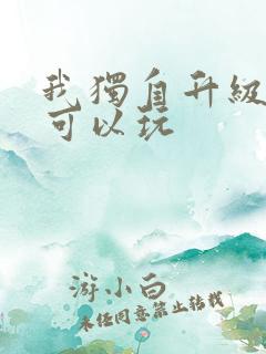 我独自升级在哪可以玩