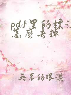 pdf里的标注怎么去掉