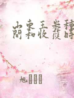 山东玉米种植时间和收获时间