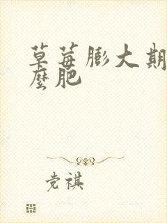 草莓膨大期用什么肥
