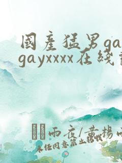 国产猛男gaygayxxxx在线观看