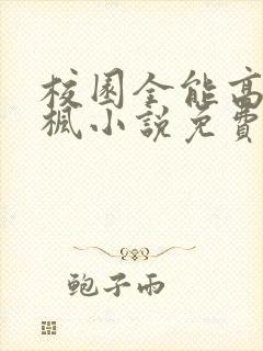 校园全能高手季枫小说免费完整版txt