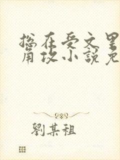 总在受文里抢主角攻小说免费阅读
