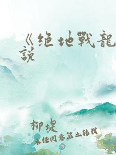 《绝地战龙》小说