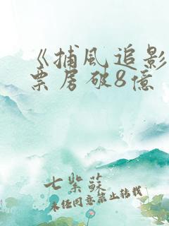 《捕风追影》总票房破8亿