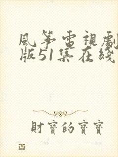 风筝电视剧送审版51集在线