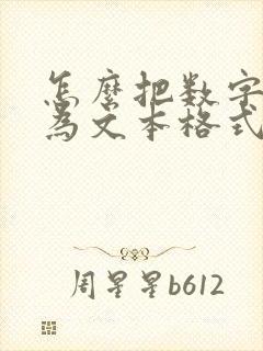 怎么把数字转化为文本格式