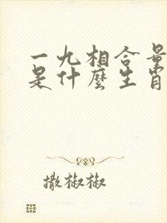 一九相合量度八是什么生肖