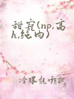 甜宠(np,高h,纯肉)