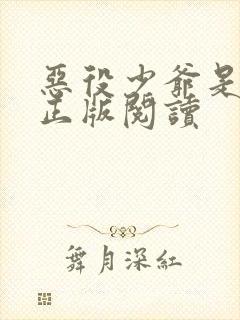 恶役少爷是圣女正版阅读