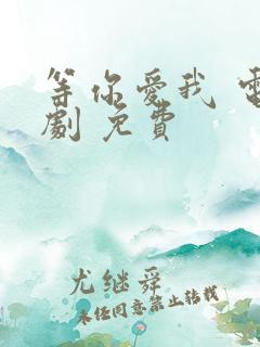 等你爱我 电视剧 免费