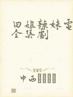 田姐辣妹电视剧全集剧
