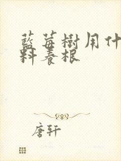 蓝莓树用什么肥料养根
