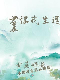 君恨我生迟演员表