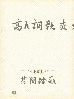 高h调教爽文