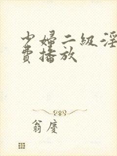 少妇二级淫片免费播放