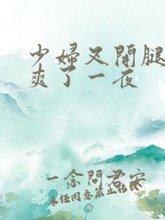 少妇叉开腿让我爽了一夜