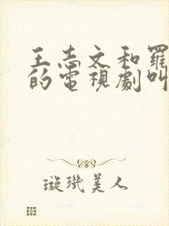 王志文和罗晋演的电视剧叫什么名字