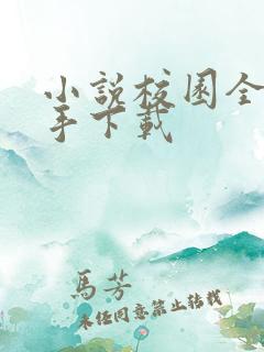 小说校园全能高手下载