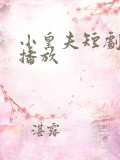 小皇夫短剧免费播放