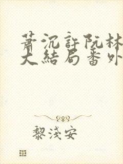 萧沉许阮林依然大结局番外