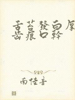 舌苔发白厚腻有齿痕口干