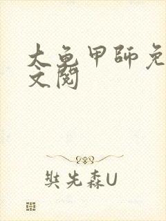 大龟甲师免费全文阅