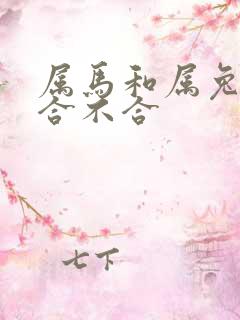 属马和属兔父子合不合