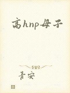 高hnp母子