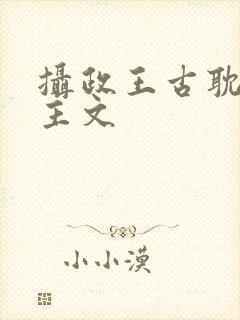 摄政王古耽双男主文