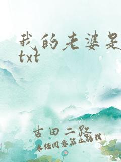 我的老婆是上司txt