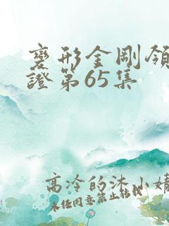 变形金刚领袖之证第65集