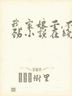 我家娘子,不对劲小说在线免费阅读