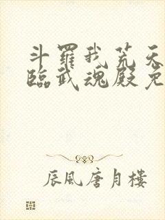 斗罗我荒天帝降临武魂殿免费阅读