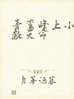 青鸾峰上小说无敌天命