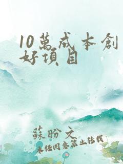 10万成本创业好项目
