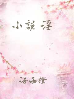 小说 淫