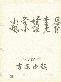 小贵婿李辰安穿越小说免费阅读