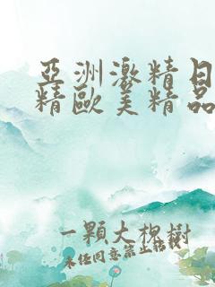 亚洲激精日韩激精欧美精品