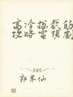高冷总裁的追妻攻略电视剧