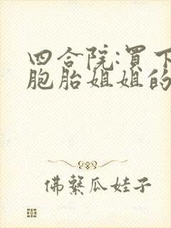 四合院:买下双胞胎姐姐的小说