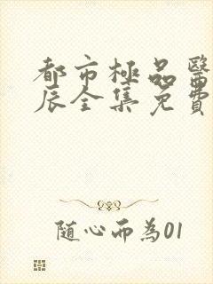 都市极品医神叶辰全集免费 阅读(笔趣阁)