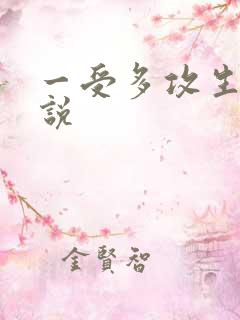 一受多攻生子小说