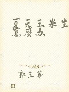 夏天玉米生虫子怎么办