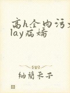 高h全肉污文play病娇